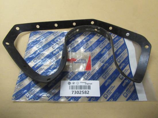 7302582 Carter pakking