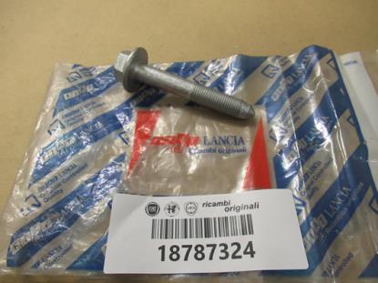 18787324 Achtervering bout M12x75