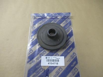 4154718 Krukaspoelie