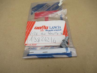 13824214 Bout met ring