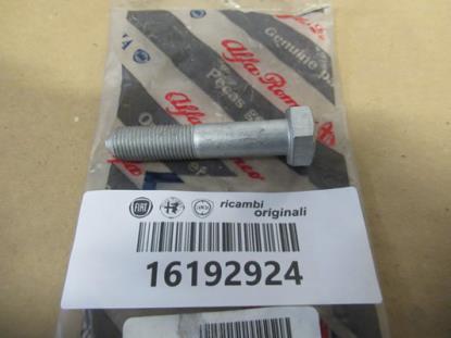 16192924 Achtervering bout M12x60