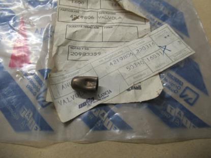 4219806 Brandstoftank plug