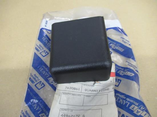 7630861 Achterdeur sierstuk rechterzijde