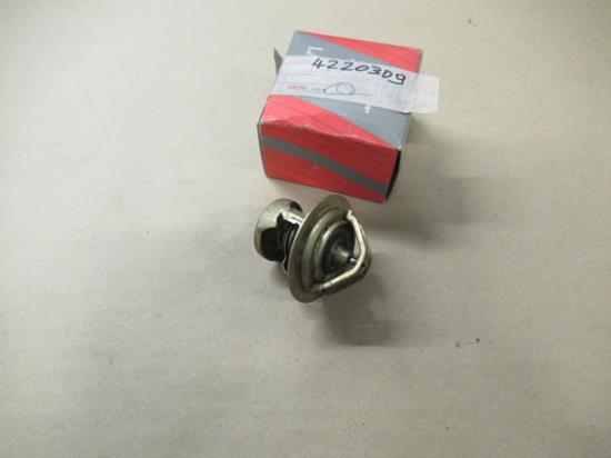 4220309 Thermostaat