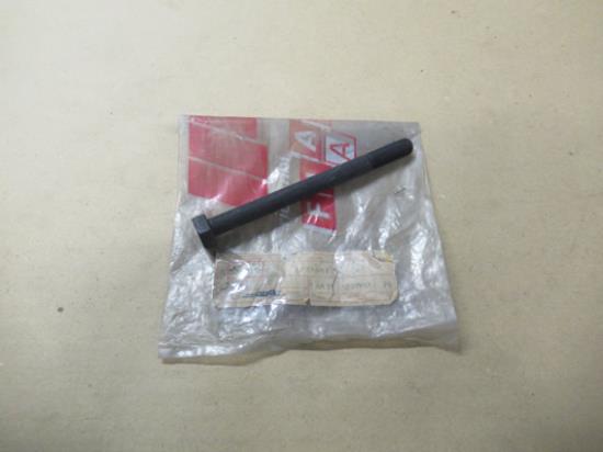 4222961 Nokkenas bout