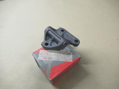 4224379 Dynamo steun