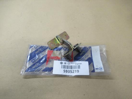 5935219 Achterklep scharnier rechterzijde