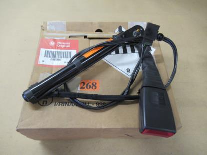 184838960 Gordeltulp rechtsvoor