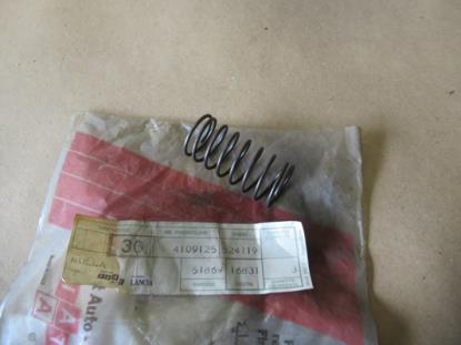 4109125 Drukpen veer