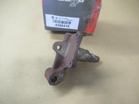 4308418 Fuseekogel achterzijde