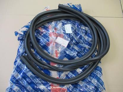 46710254 Portier profielrubber linksvoor