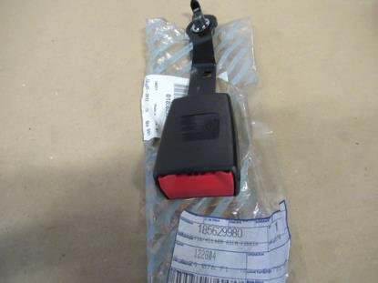 185629980 Gordeltulp linkerzijde