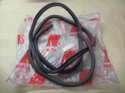 4454856 Portier profielrubber rechtsvoor