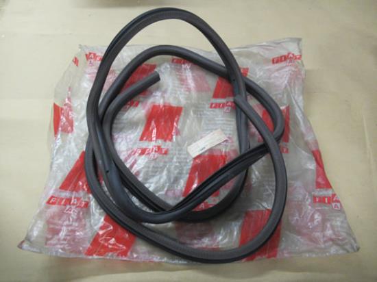 4454856 Portier profielrubber rechtsvoor