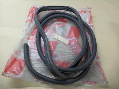 4454857 Profielrubber linksvoor