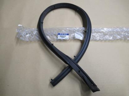 1313950080 Achterdeur profielrubber