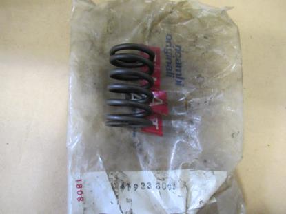 4193380 Distributieklep veer