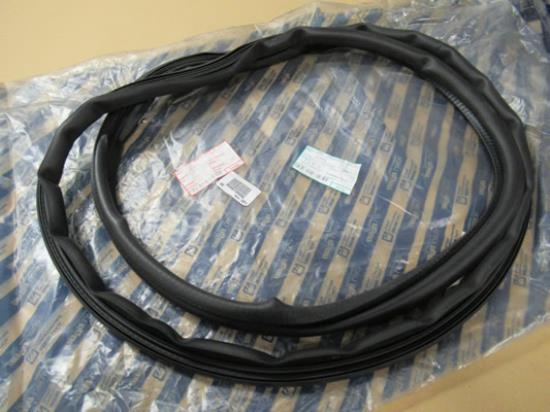 46739996 Portier profielrubber linksvoor