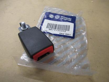 71734224 Achterbank gordeltulp