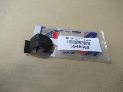 5948683 Achterklepslot sierstuk