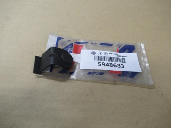 5948683 Achterklepslot sierstuk