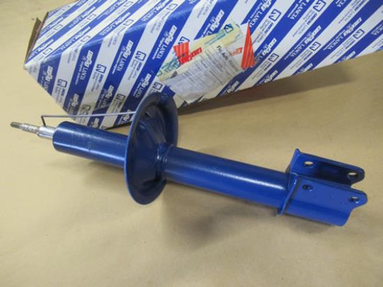 5963822 Schokdemper voorzijde