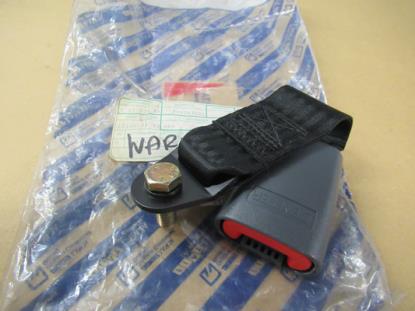 735242002 Achterbank gordeltulp