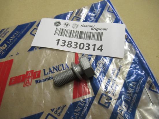 13830314 Bout met ring