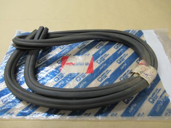 4194454 Zijruit profielrubber