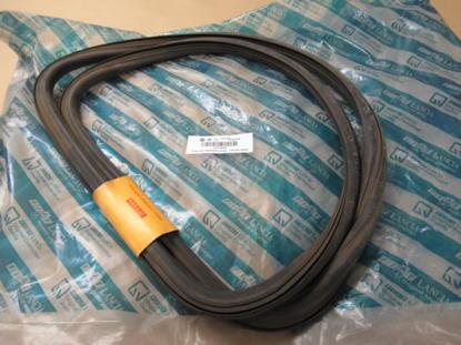 4212098 Achterruit profielrubber