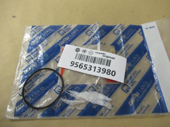 9565313980 Pakking vacuum remsysteem