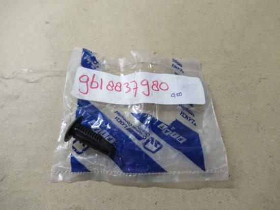 9618837980 Knop achterklep